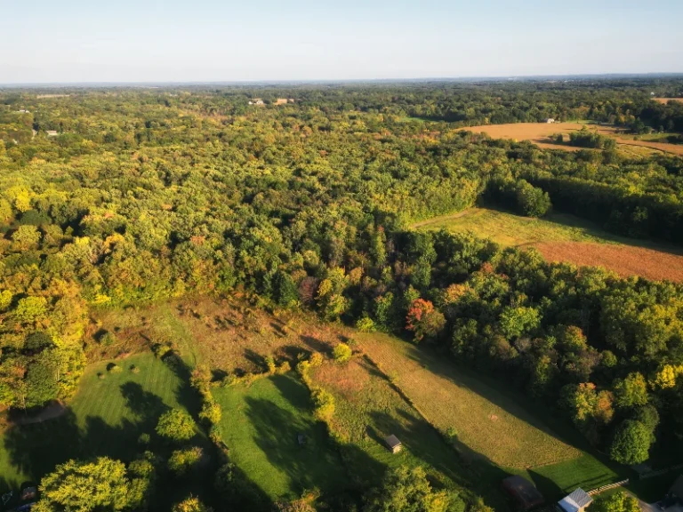 Aerial view of a green forest with scattered clearings and fields under a clear sky. water damage restoration