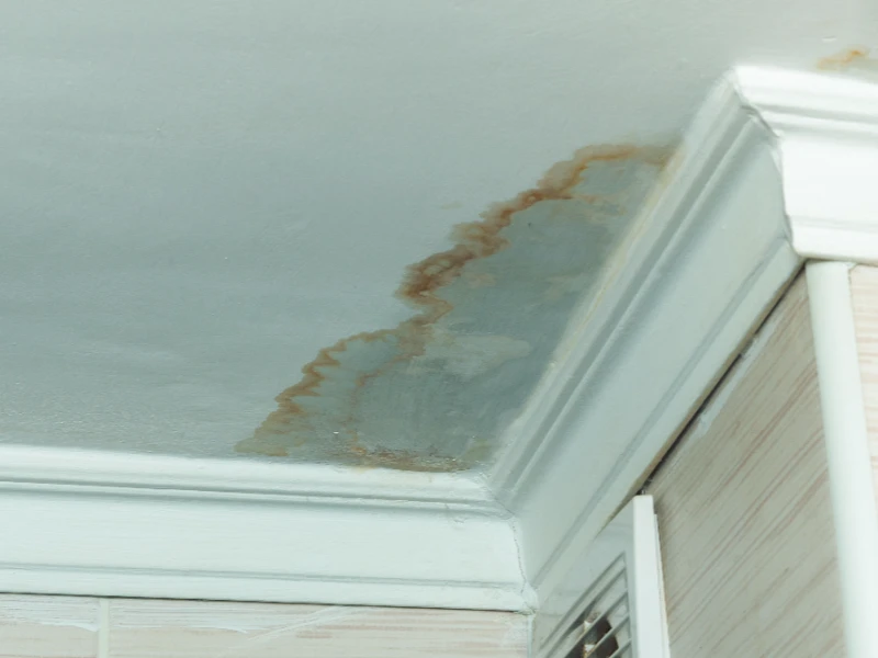 Water stain and damage on a white ceiling corner near crown molding.