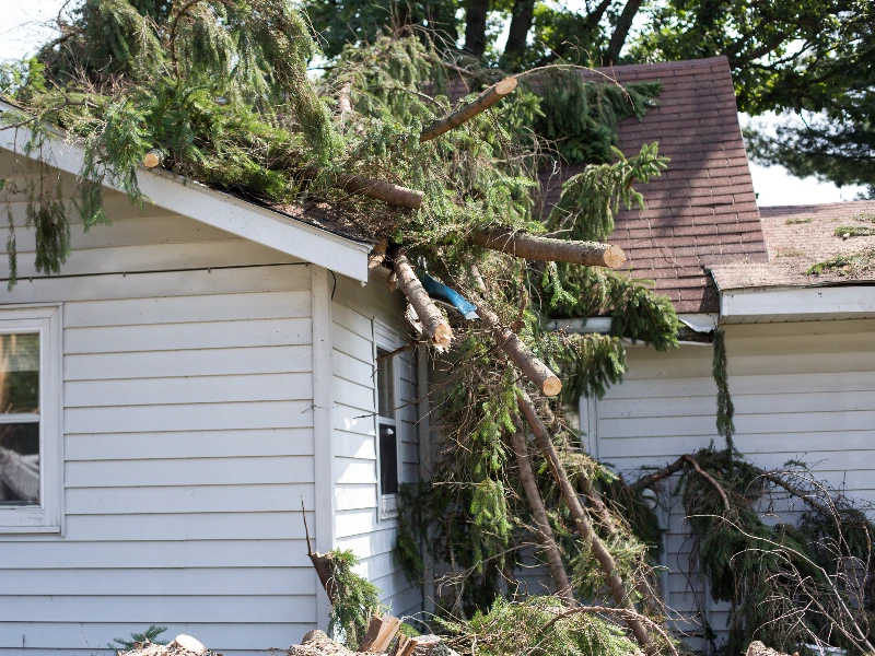 Large tree branches fallen and resting on the roof and side of a white house. storm damage restoration